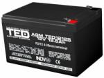 Ted Electric Acumulator AGM VRLA 12V 12 (TED002754 12V 12,5Ah)
