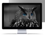 natec Filtru de confidentialitate pentru display fara rama Natec Owl 15, 6 (NFP-1475)