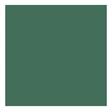 COLORAMA 1.35x11m fenyőzöld / spruce green (CO537)