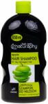 BluxCosmetics Șampon măr cu extract de aloe vera Naturaphy 650ml 30494 (5908311419731)