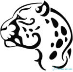 Jaguar fej matrica