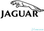 Jaguar embléma matrica