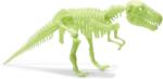 Brainstorm Schelet T-Rex reflectorizant (B8803) - educlass