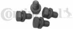 Continental Ctam Set surub, disc curea-arbore cotit CONTINENTAL CTAM MS31 - centralcar