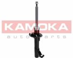 KAMOKA Kam-2000253