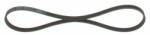 Bosch Curea transmisie cu caneluri BOSCH 1 987 947 559 - centralcar