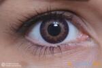 MAXVUE VISION 3 Tones Violet (2 lentile) (EYE3TVLT)