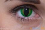MAXVUE VISION Crazy Green Dragon (2 lentile), lentile de contact lunare - fără dioptrie (EYECLGRND)