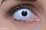 MAXVUE VISION Crazy Whiteout (2 lentile), lentile de contact lunare - fără dioptrie (EYECLWHTO)