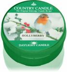 The Country Candle Company Hollyberry lumânare 42 g