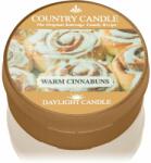The Country Candle Company Warm Cinnabuns teamécses 42 g