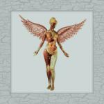 Nirvana - In Utero (Limited Edition) (Deluxe Edition) (180 g) (8 LP) (0602455178213)