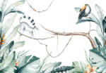 Consalnet Maki és kakadu az ágakon poszter, fotótapéta, Vlies (416 x 254 cm) (C1-14071VEXXXL)