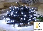 TRACON Ghirlandă luminoasă de Crăciun cu LED, de interior/exterior 230VAC, 2+10M, 100LED, 3, 6W, 12000-13000K, IP44 (CHRSTOB100CW)
