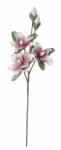 Bizzotto Set 12 flori artificiale Magnolia 35x95 cm (0172601) - decorer