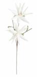 Bizzotto Set 12 flori Aloe artificiala alba 55x125 cm (0172716) - decorer