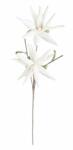 Bizzotto Set 12 flori Aloe artificiala alba 55x125 cm (0172716)