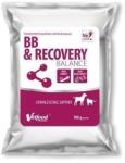 VetFood BB & Recovery Balance 100 g