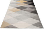  Szürke-sárga geometrikus CHARLOT szőnyeg Méret: 120x170 cm (TA63116/B)