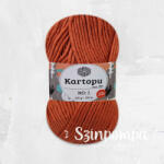  Kartopu NO: 1 - Terra - 1210