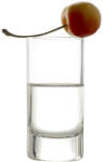 Stölzle Lausitz NEW YORK BAR Stampedli 55 ml (6db/doboz)
