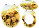 FERRO STENATA