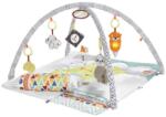 Mattel Fisher-Price, Covoras senzorial educational Deluxe