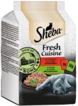 Sheba Fresh Cuisine Róma ízei szószban 6x50g