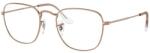 Ray-Ban Frank RB3857V 3107