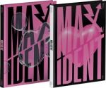 JYP Entertainment Stray Kids - Maxident (CD + könyv)