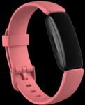 Fitbit (Accessory) Inspire 2 C Band Desert Rose Small (FB177ABCRS)