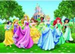 AG Design Disney Hercegnők óriás poszter 360 cm x 255 cm - babaszoba faldek (FTD 2207, FTDN 5067)