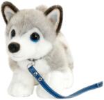 Keel Toys Jucărie de pluș Keel Toys Dog - Husky, cu lesă, 30 cm (SD1489)