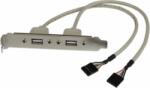 StarTech USBPLATE 2x USB-A - 2x IDC (anya - anya) adapter (USBPLATE)