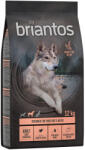 Briantos 2x12kg Briantos gabonamentes száraz kutyatáp- Adult Light/Sterilised pulyka & burgonya