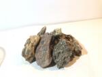 INVITAL Dragon Stone 6400g (ID Z05811)