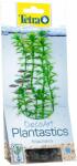 TETRA Egeria densa (Anacharis) - növény akváriumba Tetra 15 cm, S