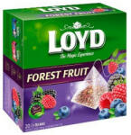 LOYD piramid tea forest fruit - 40g