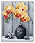 Számfestő Egy szál orchidea - számfestő készlet (crea1184)