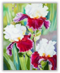 Számfestő Csodás virágok - számfestő készlet (crea1174)