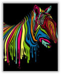Számfestő Színes zebra - számfestő készlet (crea1461)