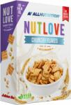 ALLNUTRITION Nutlove crunchy flakes fahéj 300 g