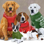 PPD Sweater Dogs papírszalvéta 33x33cm, 20db-os