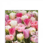Ambiente Pink Tulips papírszalvéta 25x25cm, 20db-os - perfectodekor
