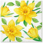 PAW Daffodils in Bloom papírszalvéta 25x25cm, 20db-os