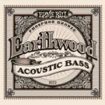 Ernie Ball 2070 Earthwood Acoustic Bass