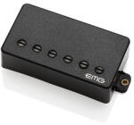 EMG F H2