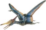 Educa Puzzle 3D Educa din 43 de piese - Pteranodon (19689)