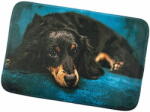  ZOO MIX Csúszásgátló szőnyeg Kutya 40x60 cm - Tacskó