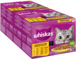 Whiskas Whiskas 96 plicuri x 85 g la preț special! - 7+ Selecție de pasăre în sos